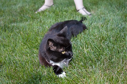 Emma_2008-07-12_0002